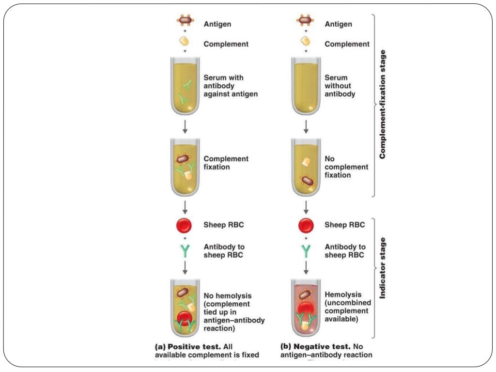Complement fixation test (CFT)