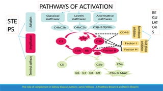 Kidney Complement Complement in renal diseases seminar .pptx
