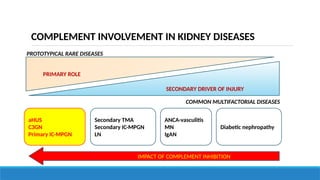 Kidney Complement Complement in renal diseases seminar .pptx
