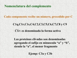 Nomenclatura del complemento Cada componente recibe un número, precedido por C C1q,C1r,C1s,C4,C2,C3,C5,C6,C7,C8 y C9 C1r: es denominada la forma activa Las proteínas clivadas son denominadas  agregando el sufijo en minuscula “a” y “b”,  siendo la “a”, el menor fragmento    Ejemp: C3a y C3b 