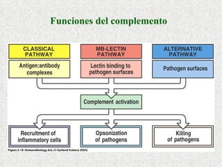 Funciones del complemento 