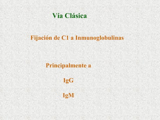 Fijación de C1 a Inmunoglobulinas Principalmente a IgG IgM Vía Clásica 