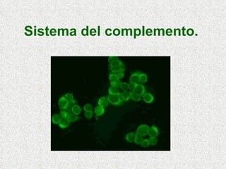 Sistema del complemento.   