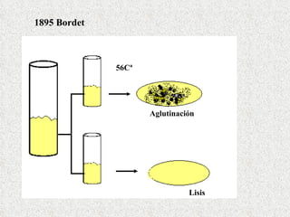Aglutinación Lisis 1895 Bordet 56Cª 