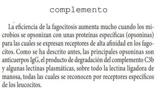 complemento
 