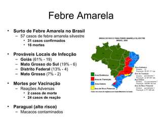 Febre Amarela Surto de Febre Amarela no Brasil 57 casos de febre amarela silvestre 31 casos confirmados 16 mortes Prováveis Locais de Infecção Goiás  (61% - 19) Mato Grosso do Sul  (19% - 6) Distrito Federal  (13% - 4) Mato Grosso  (7% - 2) Mortes por Vacinação Reações Adversas 2 casos de morte 24 casos de reação Paraguai (alto risco) Macacos contaminados 