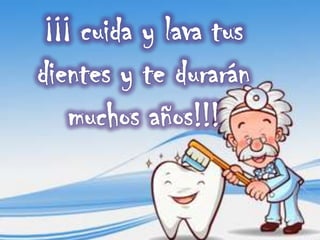 Complemento de los dientes