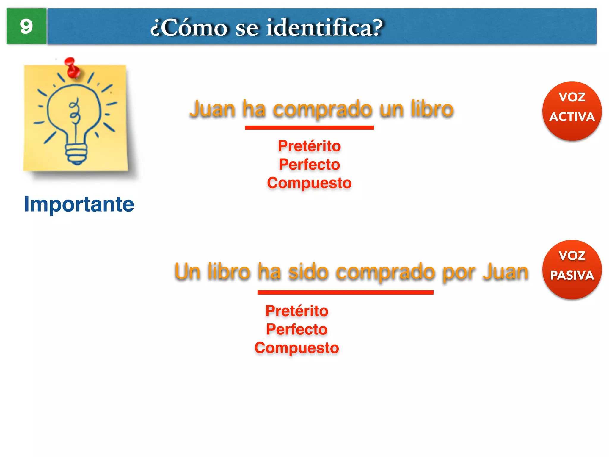 Slide 11