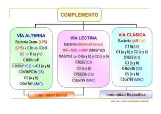 COMPLEMENTO



  VÍA ALTERNA                                                      VÍA CLÁSICA
                                  VÍA LECTINA
 Bacteria Gram- (LPS)                                             Bacteria-IgM/2 IgG
                             Bacteria (Manosa/Fucosa)
 (LPS) + C3b ⇒ C3bB                                                    C1 (q,r,s)
                            M/F+ MBL o MBP (MASP1/2)             C4 (a y b) y C2 (a y b)
    (D) ⇒ B (a y b)
                          MASP1/2 ⇒ C4(a y b) y C2 (a y b)            C4b2a (C3)
      C3bBb⇒P
                                    C4b2a (C3)                         C3 (a y b)
C3bBbP (C3) ⇒C3 (a y b)
                                     C3 (a y b)                      C4b2a3b (C5)
   C3bBbPC3b (C5)
                                   C4b2a3b (C5)                        C5 (a y b)
       C5 (a y b)                                                  C5b6789 (MAC)
                                  C5b6789 (MAC)
    C5b6789 (MAC)

               Inmunidad Innata                         Inmunidad Específica
                                                             DRA. MA. ELENA HERNÁNDEZ CAMPOS
 