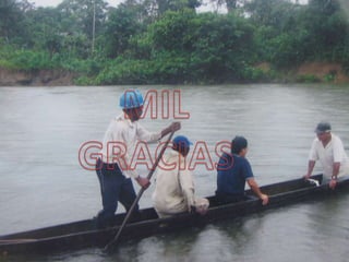 Complemento proyecto praes