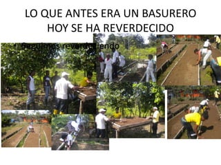 LO QUE ANTES ERA UN BASURERO
      HOY SE HA REVERDECIDO
• Seguimos reverdeciendo
 