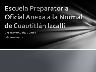 Gustavo Gonzalez Zorrilla
Informatica 1 1
 