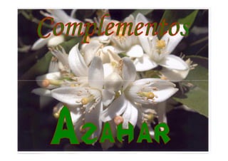 Complementos Azahar - Catálogo