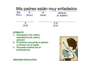 Mis padres están muy enfadados
   Det.         N           N            Atributo
  (Pos.)      (Sust.)     (Verb)        (S. Adjetiv)


             S                        P. N
           (S.N)                     (S.V)


ATRIBUTO
1. Acompaña a los verbos
   copulativos (ser, estar y
   parecer)
2. El atributo concuerda en género
   y número con el sujeto
3. Se puede sustituir por el
   pronombre lo.



ORACIÓN COPULATIVA
 