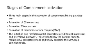 Complement pathway | PPTX