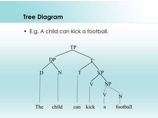 Tree Diagram
• E.g. A child can kick a football.
TP
DP T'
D N T VP
V NP
The child can kick football
NV
a
 