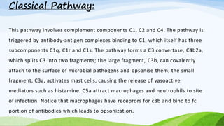 Classical Pathway:
This pathway involves complement components C1, C2 and C4. The pathway is
triggered by antibody-antigen complexes binding to C1, which itself has three
subcomponents C1q, C1r and C1s. The pathway forms a C3 convertase, C4b2a,
which splits C3 into two fragments; the large fragment, C3b, can covalently
attach to the surface of microbial pathogens and opsonise them; the small
fragment, C3a, activates mast cells, causing the release of vasoactive
mediators such as histamine. C5a attract macrophages and neutrophils to site
of infection. Notice that macrophages have receprors for c3b and bind to fc
portion of antibodies which leads to opsonization.
 