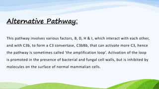 Alternative Pathway:
This pathway involves various factors, B, D, H & I, which interact with each other,
and with C3b, to form a C3 convertase, C3bBb, that can activate more C3, hence
the pathway is sometimes called ‘the amplification loop’. Activation of the loop
is promoted in the presence of bacterial and fungal cell walls, but is inhibited by
molecules on the surface of normal mammalian cells.
 