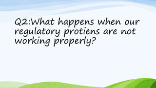 Q2:What happens when our
regulatory protiens are not
working properly?
 