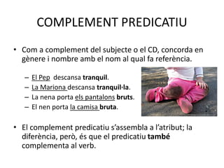 COMPLEMENT PREDICATIU
• Com a complement del subjecte o el CD, concorda en
gènere i nombre amb el nom al qual fa referència.
– El Pep descansa tranquil.
– La Mariona descansa tranquil·la.
– La nena porta els pantalons bruts.
– El nen porta la camisa bruta.
• El complement predicatiu s’assembla a l’atribut; la
diferència, però, és que el predicatiu també
complementa al verb.
 