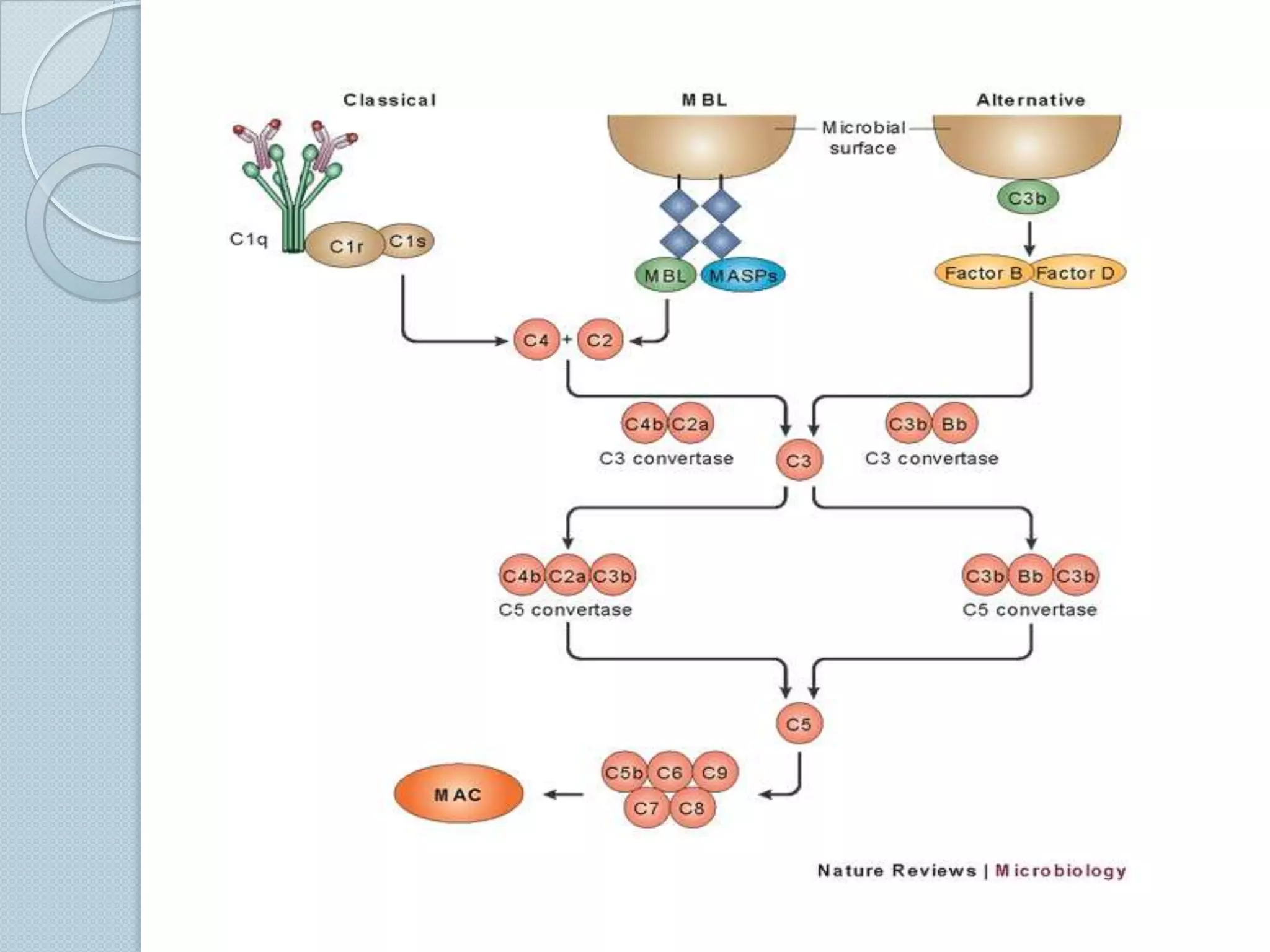 Does not require an antigen-binding protein