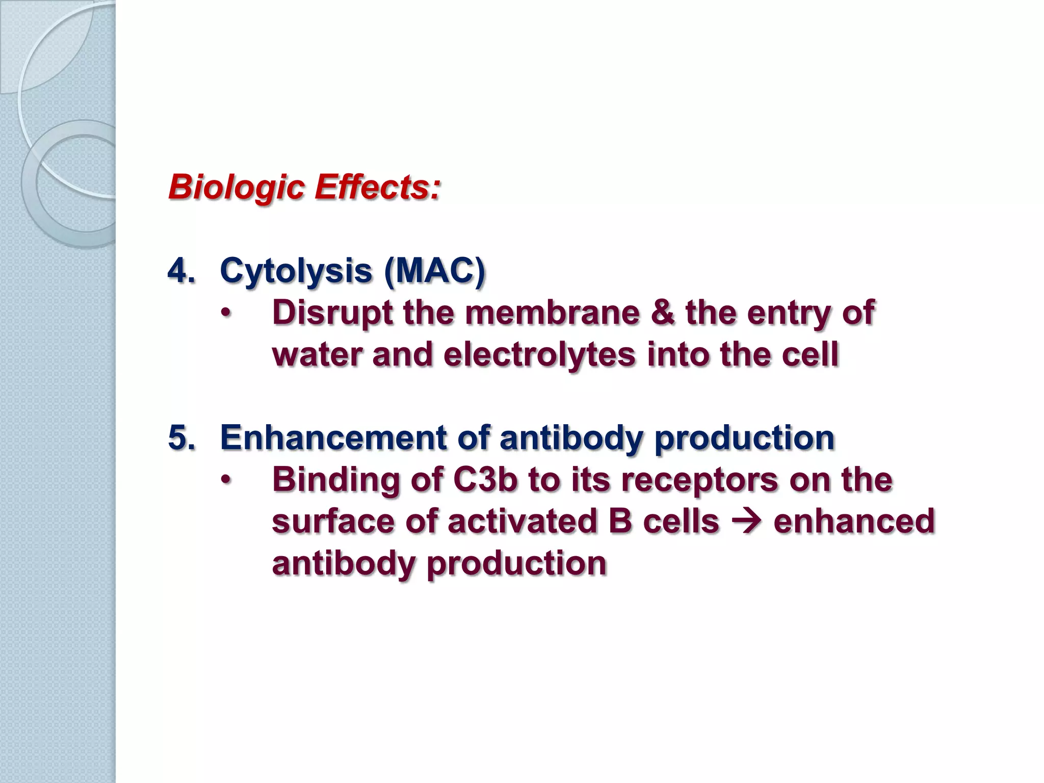 Acts synergistically with the classical pathwayAlternative PathwayUsually activated by products of micro-organisms like endotoxin