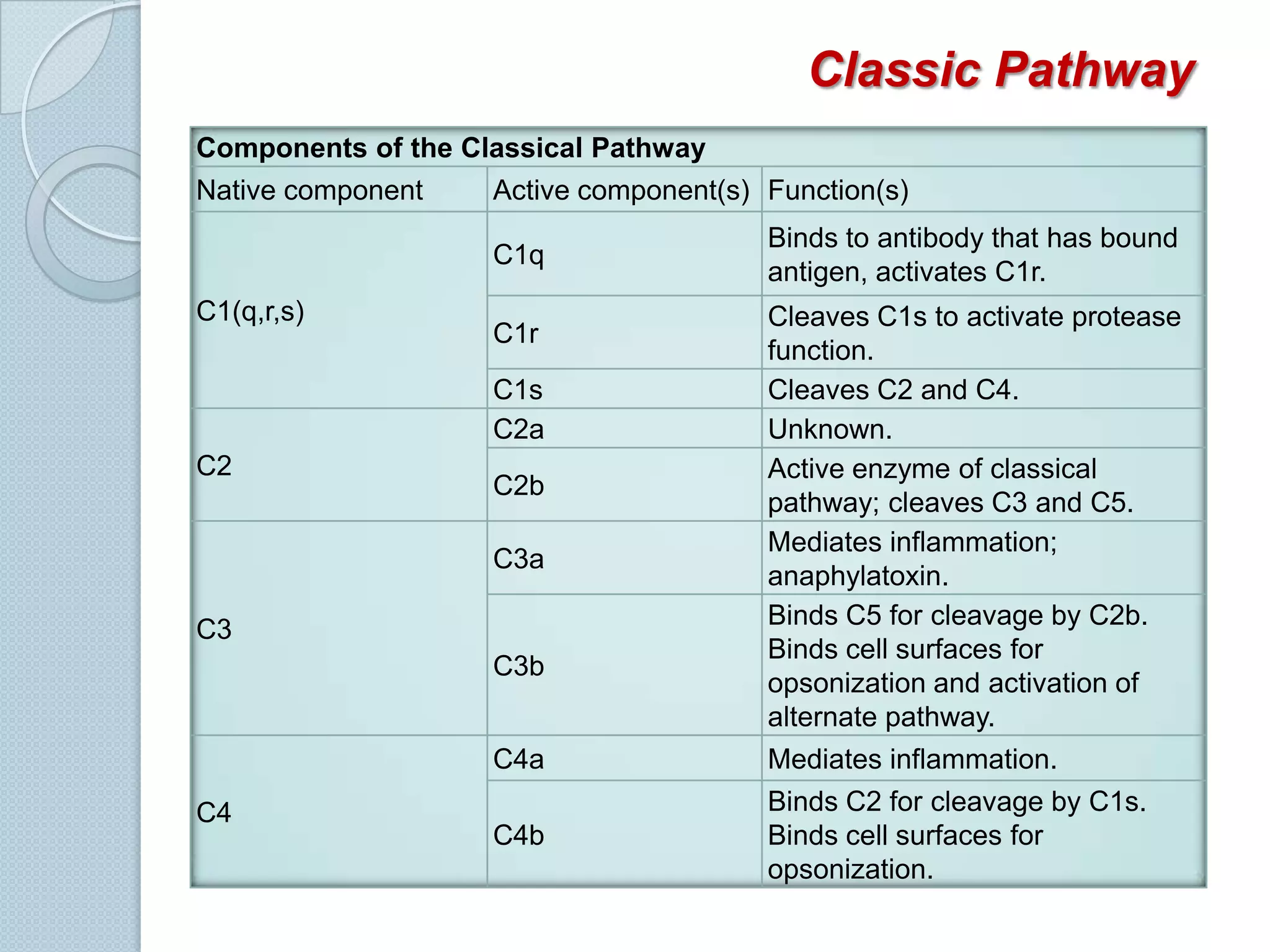 Activated by Ag-Ab complexes