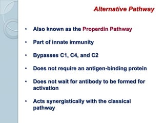 Composed of C1q, C1r, and C1s  binds to Fc portion of IgG and IgM