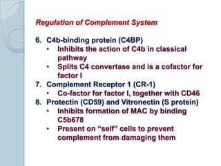 Lectin PathwayAlso known as the MBL Pathway
