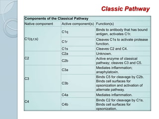 Activated by Ag-Ab complexes