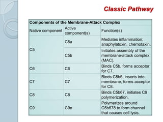 Immunoglobulins involved: IgM and IgG (except IgG4)