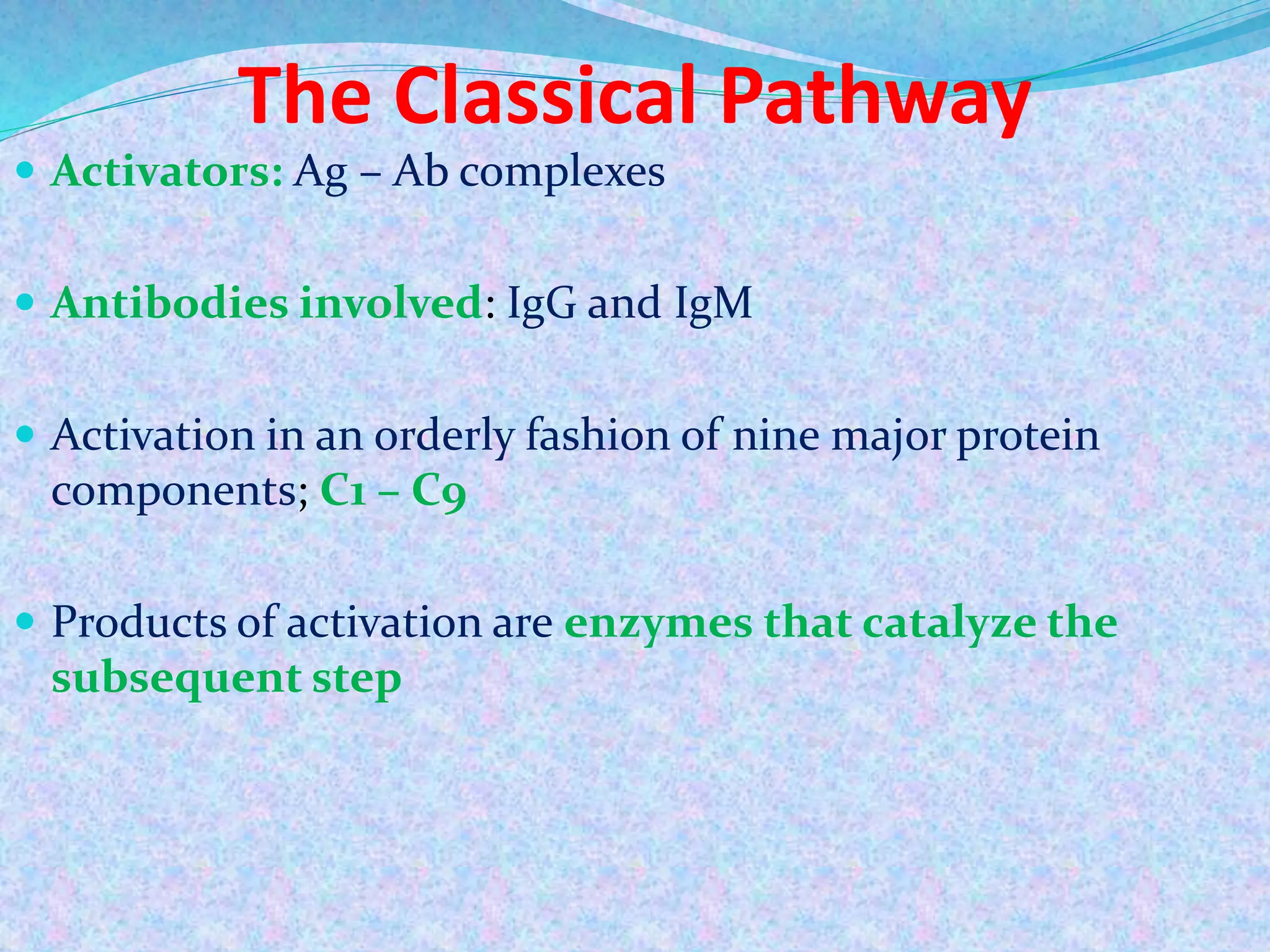 The Classical Pathway
 Activators: Ag – Ab complexes
 Antibodies involved: IgG and IgM
 Activation in an orderly fashion of nine major protein
components; C1 – C9
 Products of activation are enzymes that catalyze the
subsequent step
 