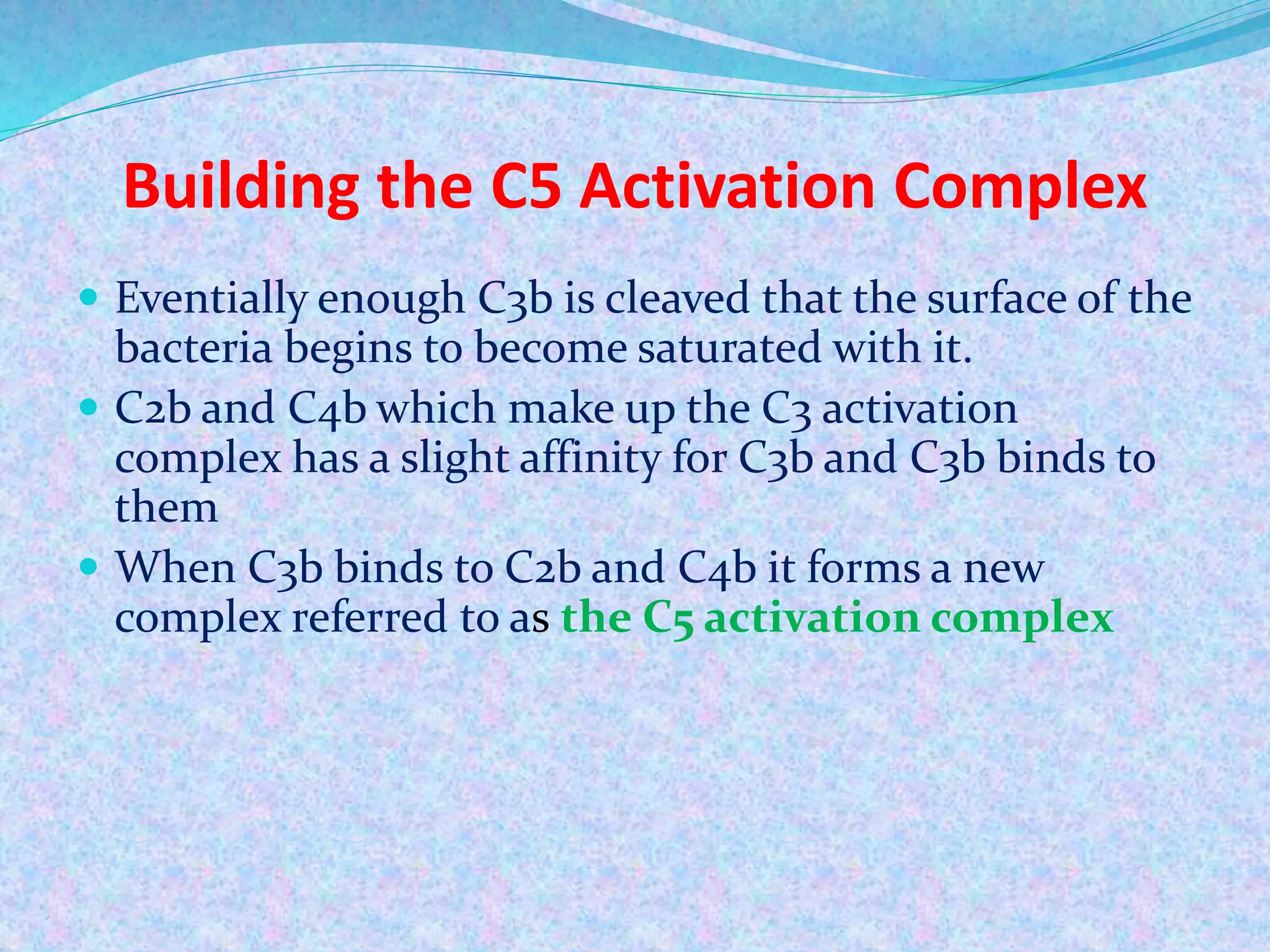 Building the C5 Activation Complex
 Eventially enough C3b is cleaved that the surface of the
bacteria begins to become saturated with it.
 C2b and C4b which make up the C3 activation
complex has a slight affinity for C3b and C3b binds to
them
 When C3b binds to C2b and C4b it forms a new
complex referred to as the C5 activation complex
 