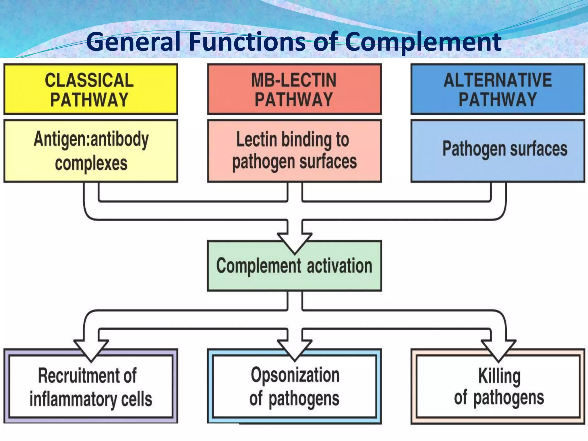 General Functions of Complement
 