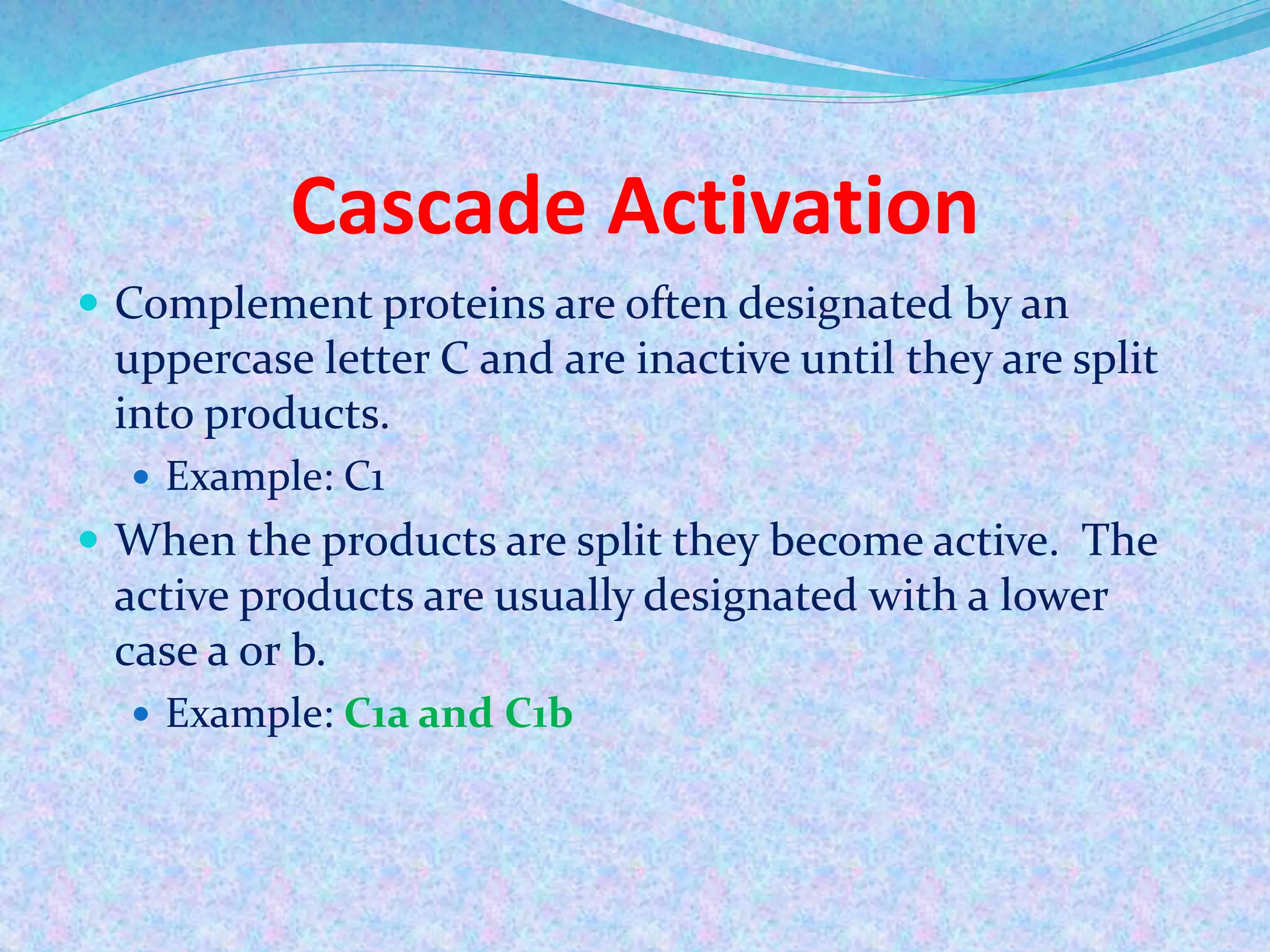 Cascade Activation
 Complement proteins are often designated by an
uppercase letter C and are inactive until they are split
into products.
 Example: C1
 When the products are split they become active. The
active products are usually designated with a lower
case a or b.
 Example: C1a and C1b
 