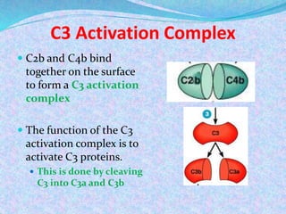Complement system | PPTX