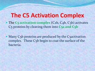 Complement system | PPTX