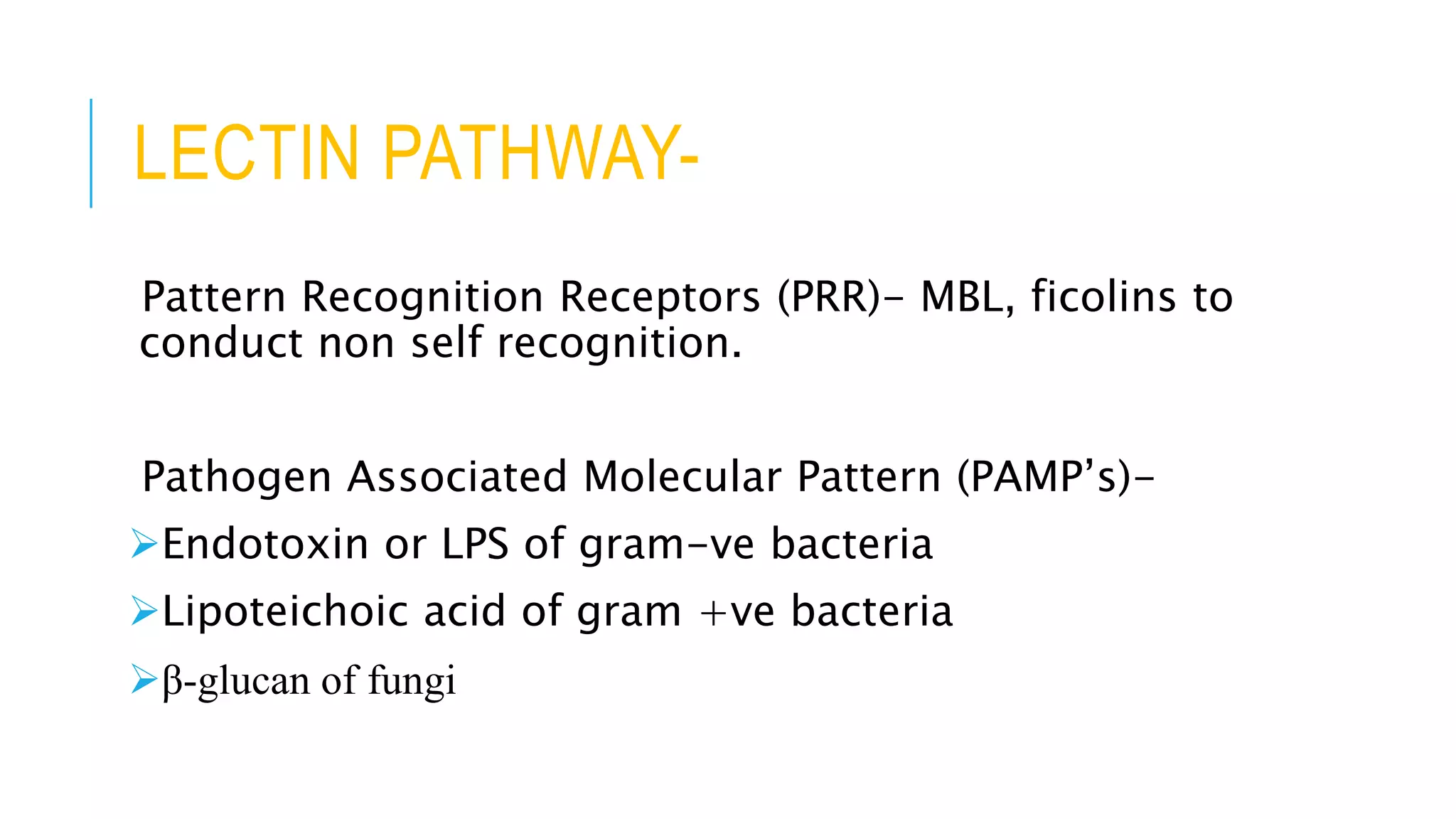 LECTIN PATHWAY-
Pattern Recognition Receptors (PRR)- MBL, ficolins to
conduct non self recognition.
Pathogen Associated Molecular Pattern (PAMP’s)-
Endotoxin or LPS of gram-ve bacteria
Lipoteichoic acid of gram +ve bacteria
β-glucan of fungi
 