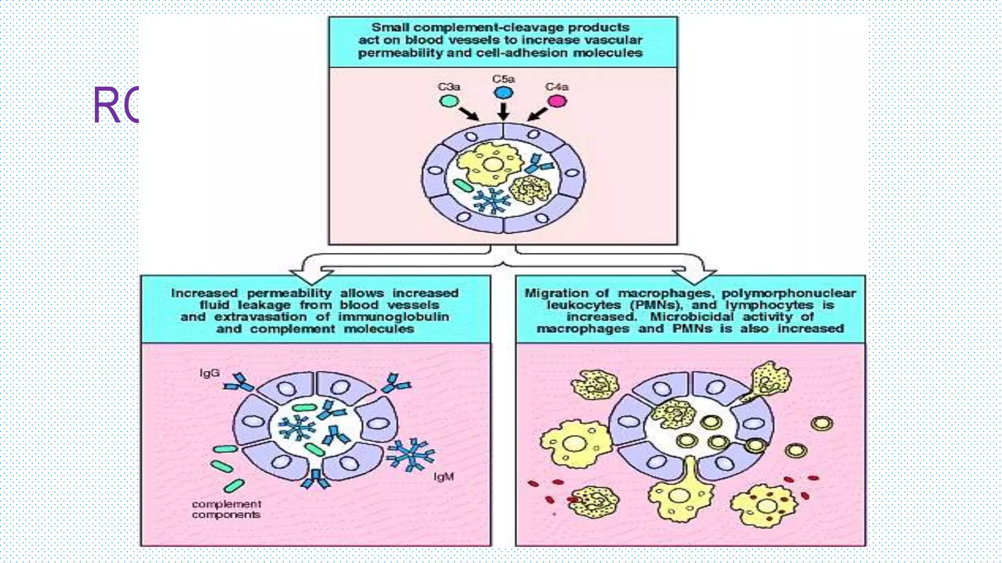 ROLE OF MINOR COMPONENTS-
 