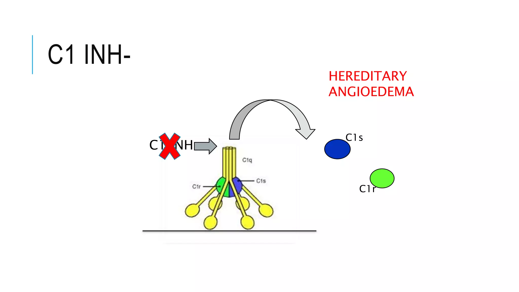 C1 INH-
C1 INH
C1s
C1r
HEREDITARY
ANGIOEDEMA
 