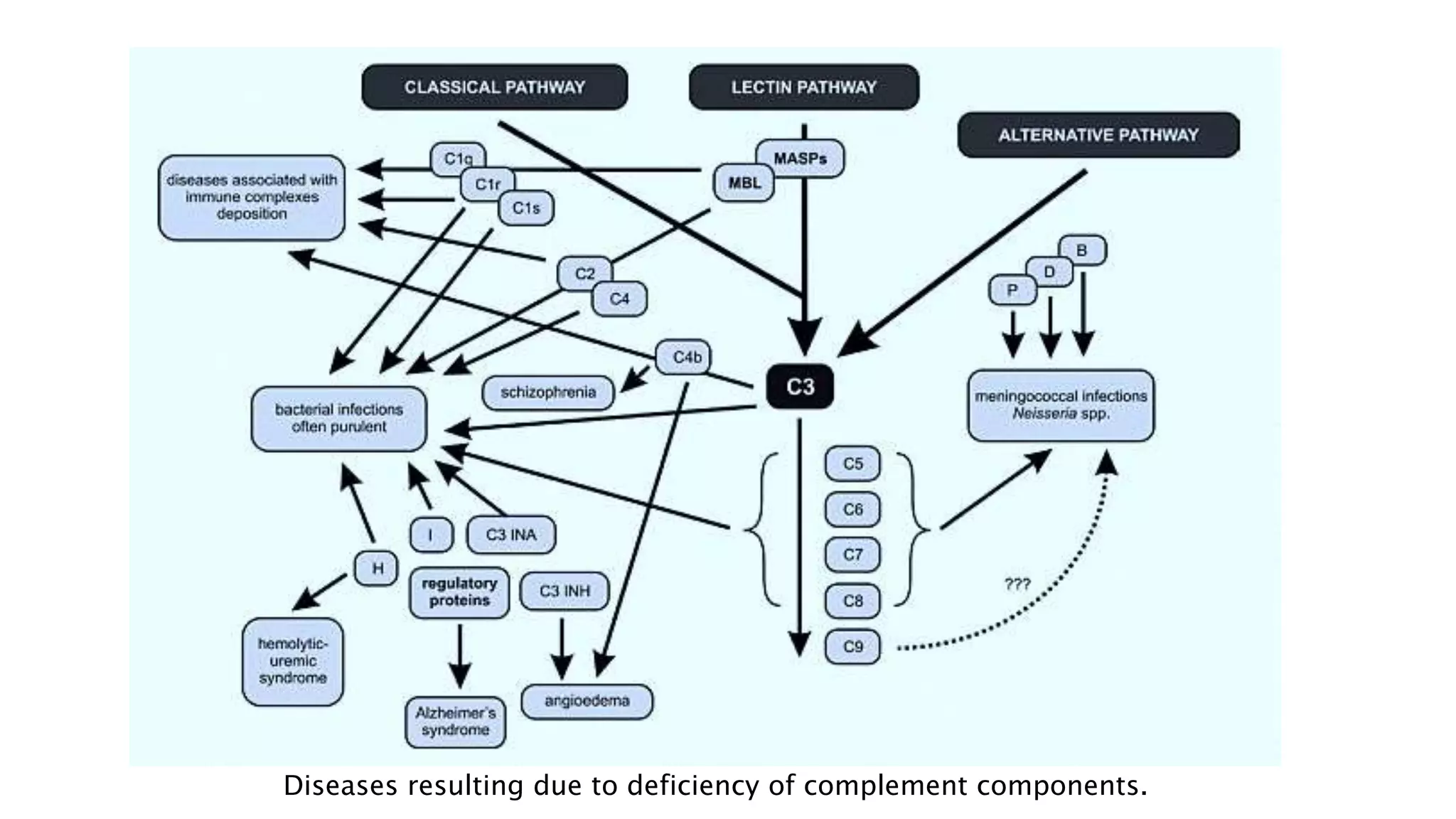Diseases resulting due to deficiency of complement components.
 