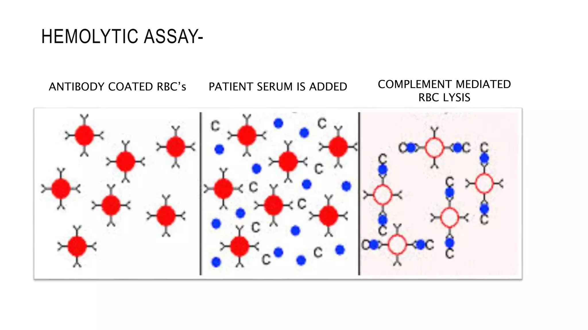 ANTIBODY COATED RBC’s PATIENT SERUM IS ADDED COMPLEMENT MEDIATED
RBC LYSIS
HEMOLYTIC ASSAY-
 