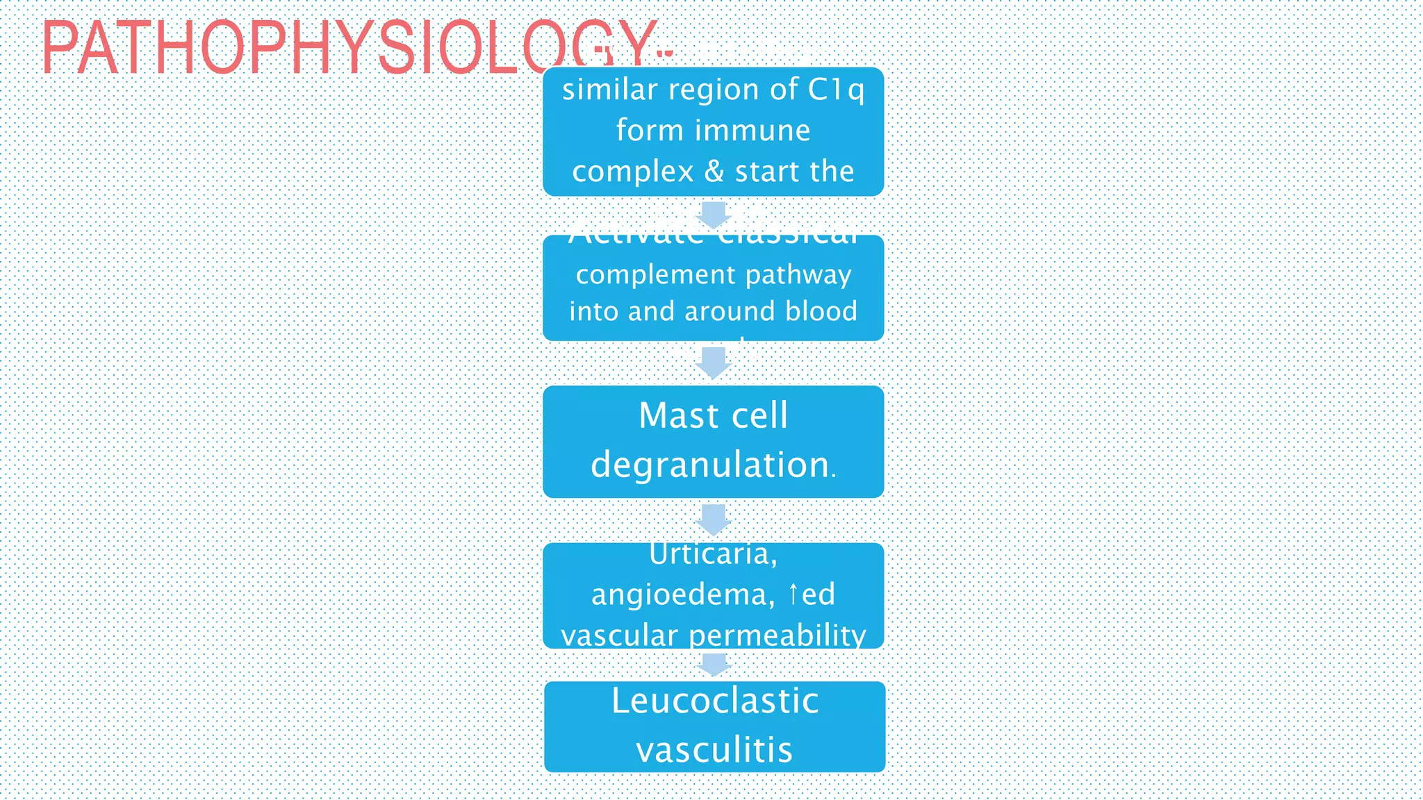 PATHOPHYSIOLOGY-IgG Ab to collagen
similar region of C1q
form immune
complex & start the
cascade.
Activate classical
complement pathway
into and around blood
vessels
Mast cell
degranulation.
Urticaria,
angioedema, ↑ed
vascular permeability
Leucoclastic
vasculitis
 