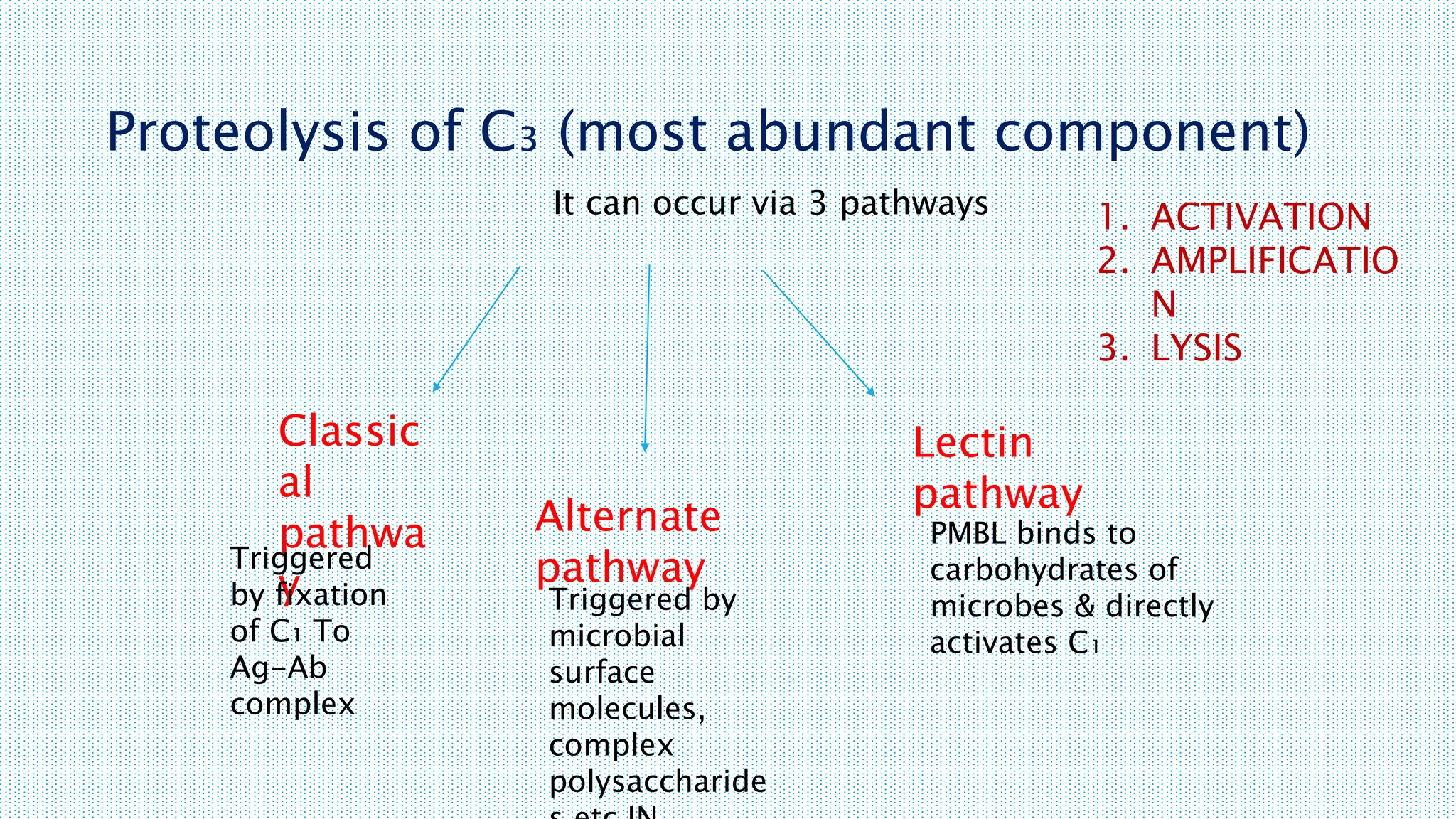 Proteolysis of C₃ (most abundant component)
It can occur via 3 pathways
Classic
al
pathwa
y
Alternate
pathway
Lectin
pathway
Triggered
by fixation
of C₁ To
Ag-Ab
complex
Triggered by
microbial
surface
molecules,
complex
polysaccharide
PMBL binds to
carbohydrates of
microbes & directly
activates C₁
1. ACTIVATION
2. AMPLIFICATIO
N
3. LYSIS
 