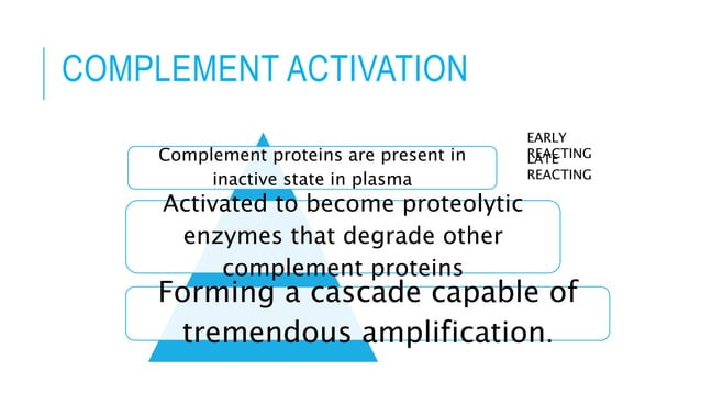 Complement system | PPT