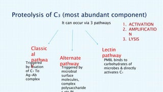 Complement system | PPTX | Blood Disorders | Diseases and Conditions