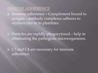 IMMUNE ADHERENCE
 Immune adherence – Complement bound to
antigen – antibody complexes adheres to
erythrocytes or to plateletes.
 Particles are rapidly phagocytosed – help in
eliminating the pathogenic microorganisms.
 C3 and C4 are necessary for immune
adherence.
 