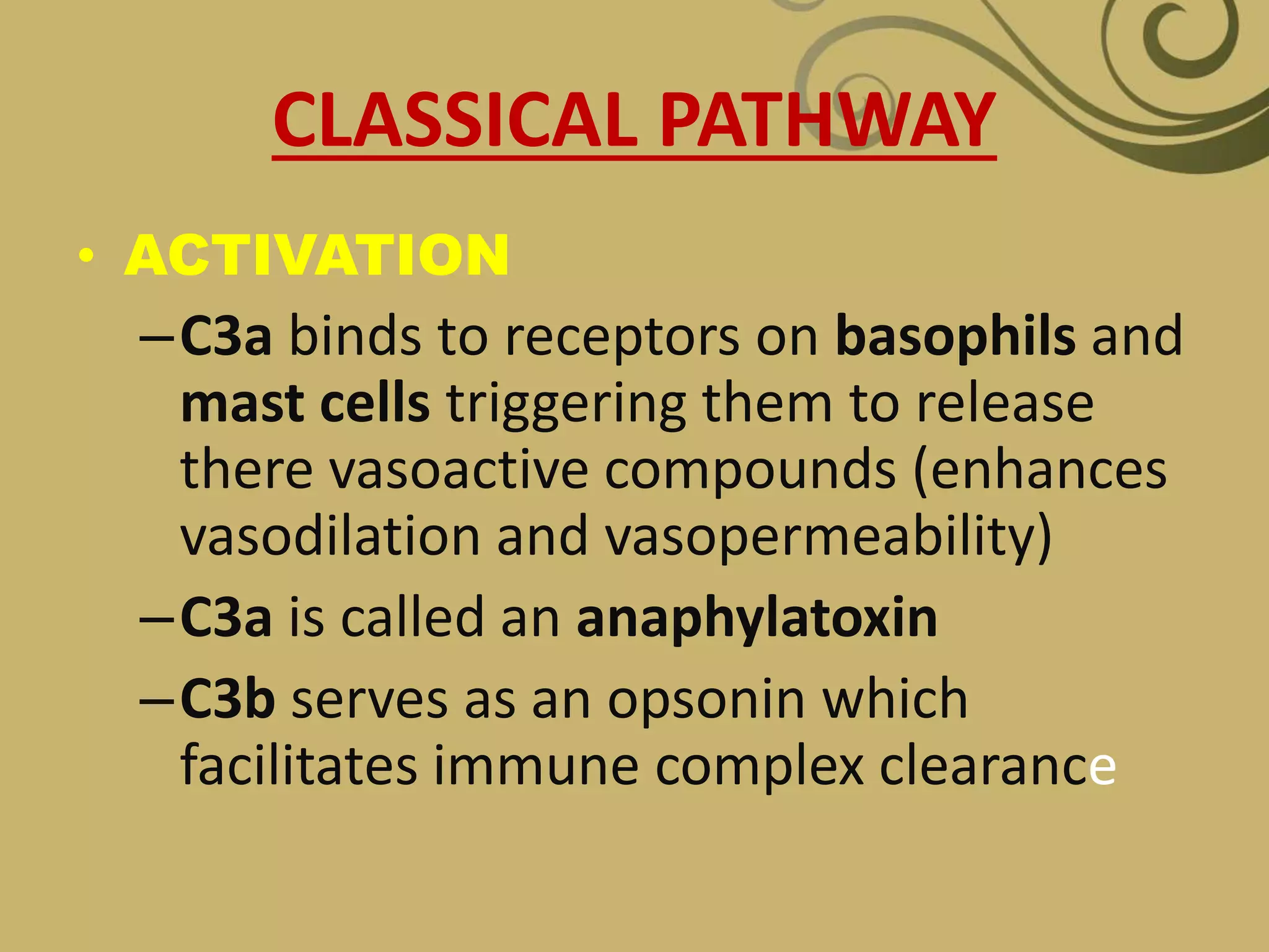 CLASSICAL PATHWAY
• ACTIVATION
–C3a binds to receptors on basophils and
mast cells triggering them to release
there vasoactive compounds (enhances
vasodilation and vasopermeability)
–C3a is called an anaphylatoxin
–C3b serves as an opsonin which
facilitates immune complex clearance
 