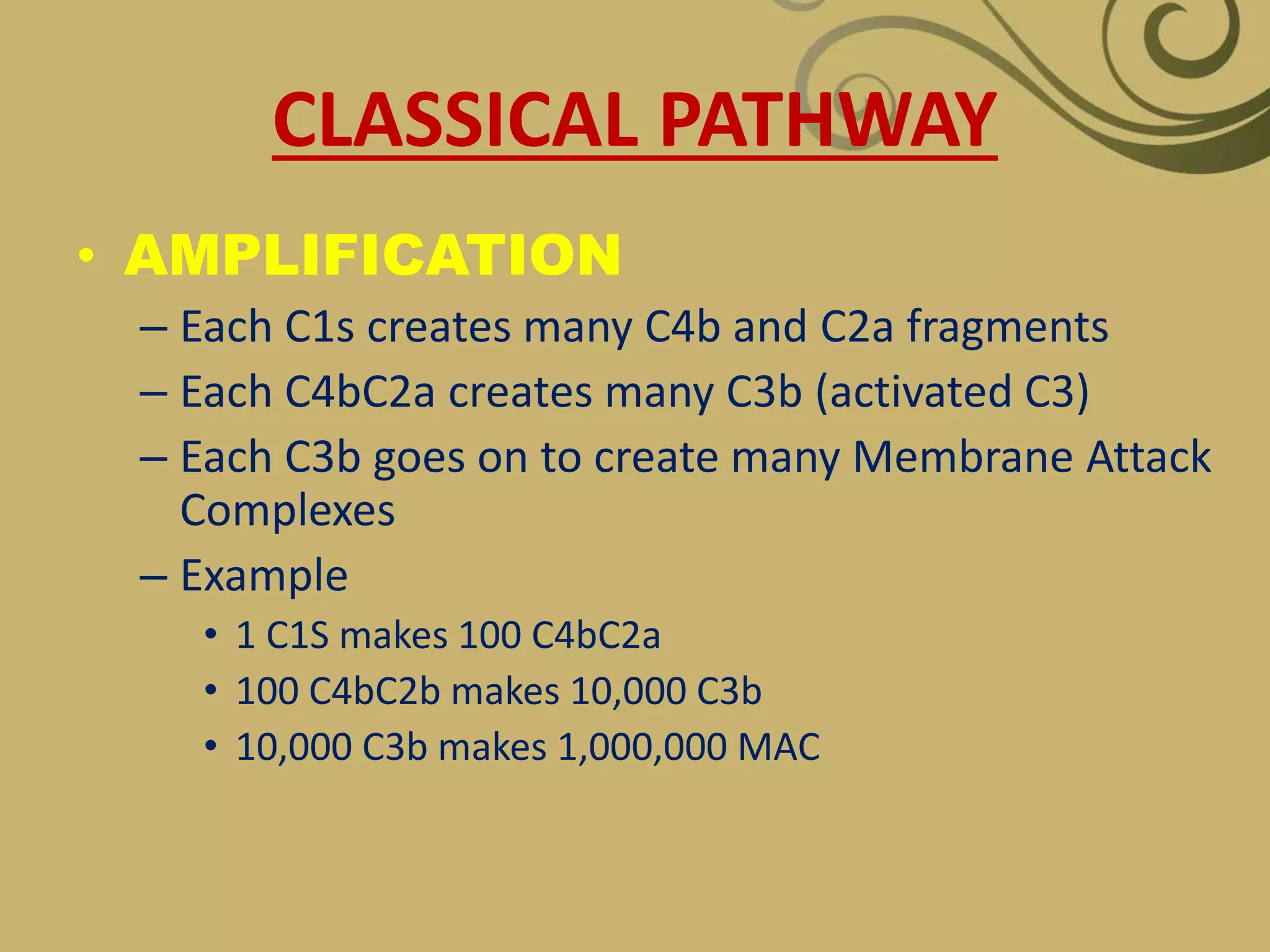 CLASSICAL PATHWAY
• AMPLIFICATION
– Each C1s creates many C4b and C2a fragments
– Each C4bC2a creates many C3b (activated C3)
– Each C3b goes on to create many Membrane Attack
Complexes
– Example
• 1 C1S makes 100 C4bC2a
• 100 C4bC2b makes 10,000 C3b
• 10,000 C3b makes 1,000,000 MAC
 