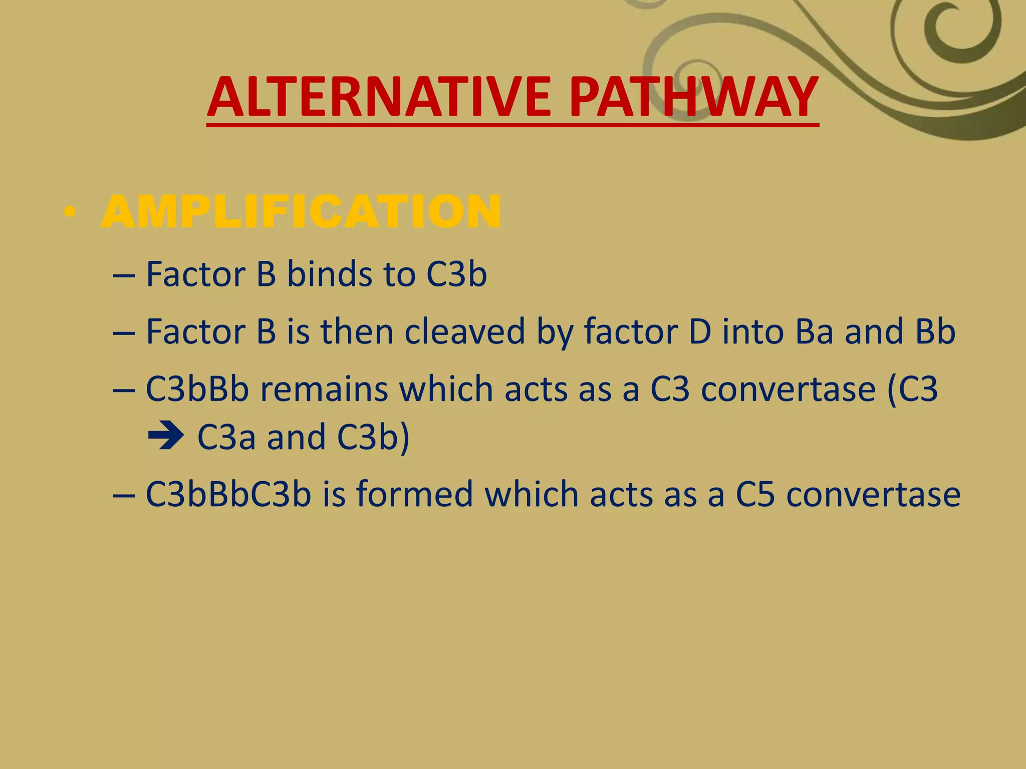 ALTERNATIVE PATHWAY
• AMPLIFICATION
– Factor B binds to C3b
– Factor B is then cleaved by factor D into Ba and Bb
– C3bBb remains which acts as a C3 convertase (C3
 C3a and C3b)
– C3bBbC3b is formed which acts as a C5 convertase
 
